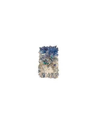 BLEU, 40×58