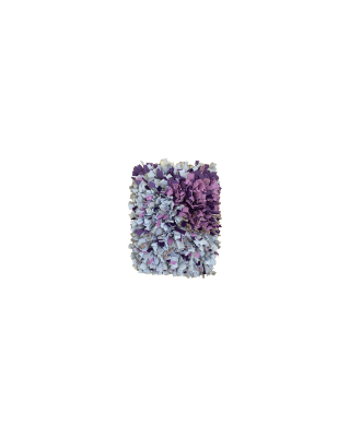 Viola_60x45_2026